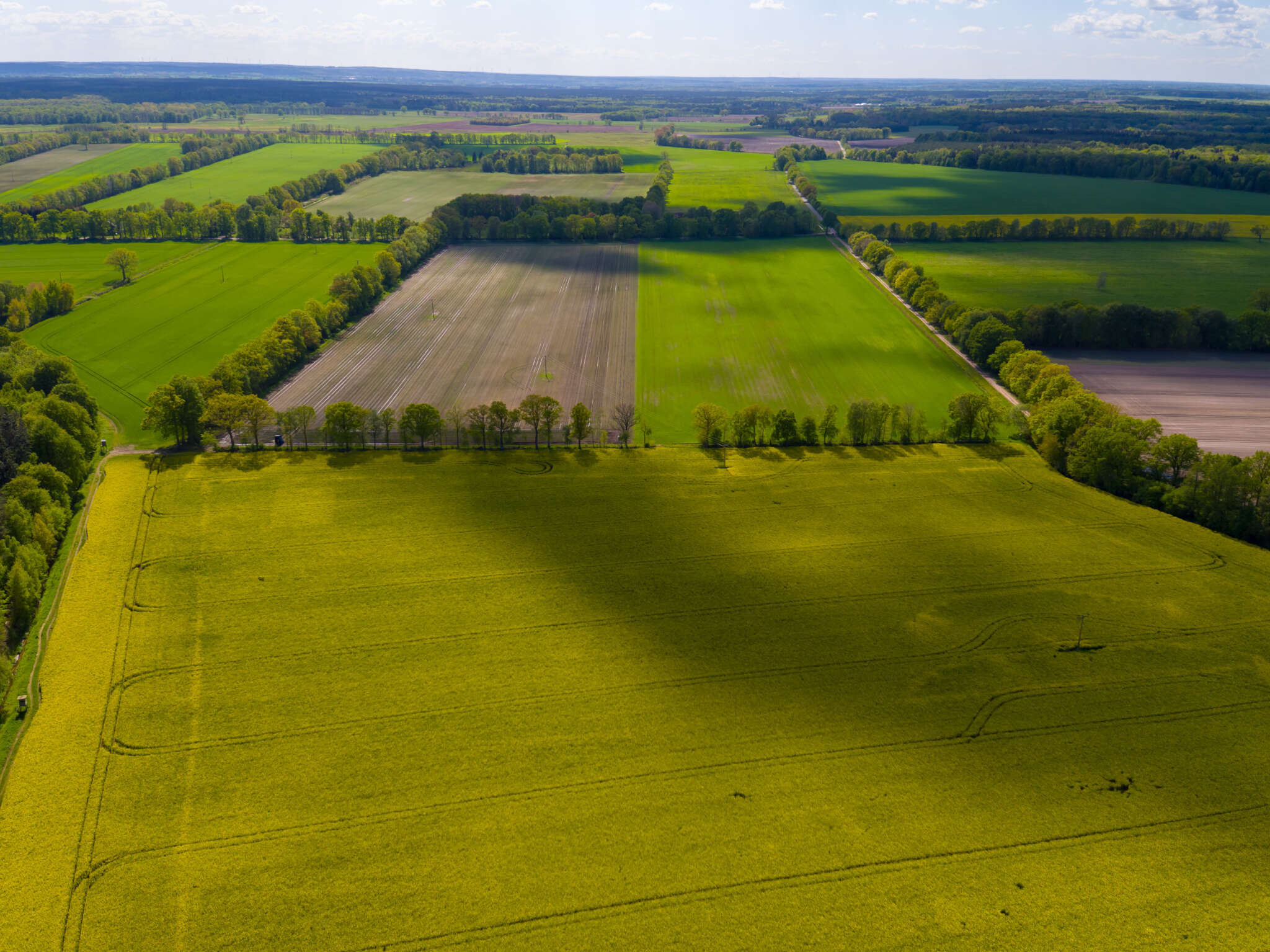 unsere Landwirtschaft – Mein Elbtaler