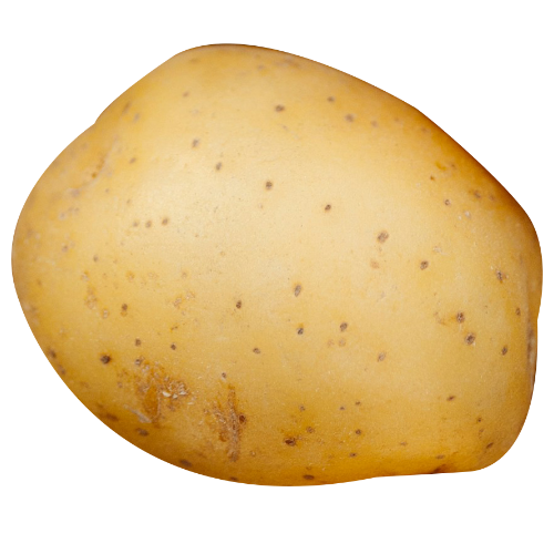 Gereinigte Kartoffel mit Delle