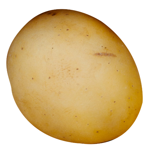 Gereinigte runde Kartoffel