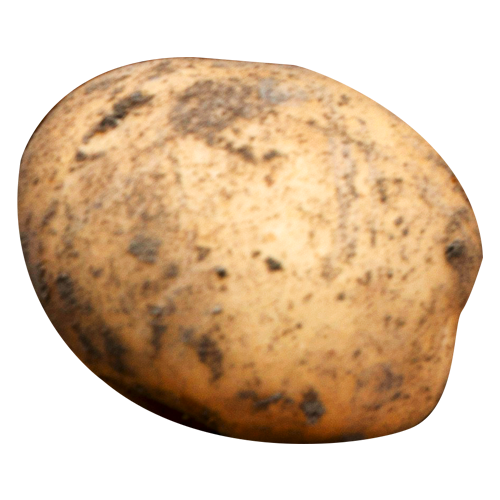 Kartoffeln mit Delle